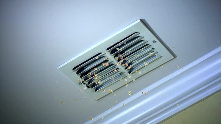 Best Affordable Duct Cleaning Services  in Las Quintas Fronterizas, TX
