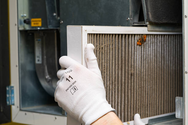 Best Emergency Air Duct Cleaning  in Las Quintas Fronterizas, TX