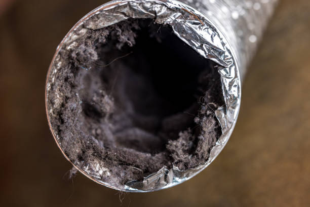 Best Affordable HVAC Duct Cleaning  in Las Quintas Fronterizas, TX